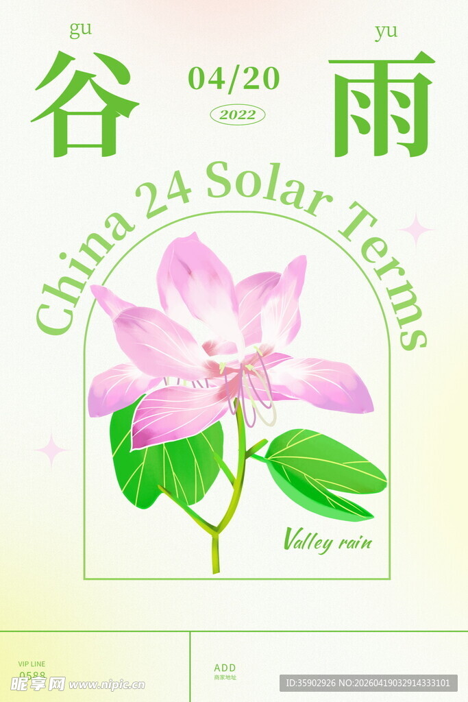 谷雨时节玉兰花绽放