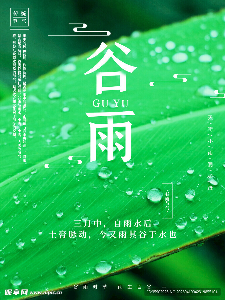 谷雨时节绿叶上的晶莹水珠