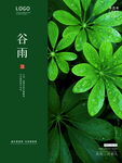 谷雨时节绿意盎然叶片图