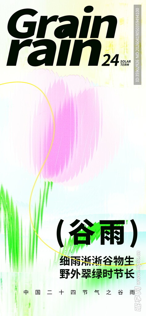谷雨时节的粉嫩郁金香