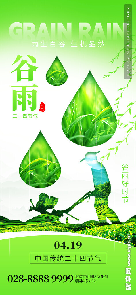 谷雨时节绿意盎然插画