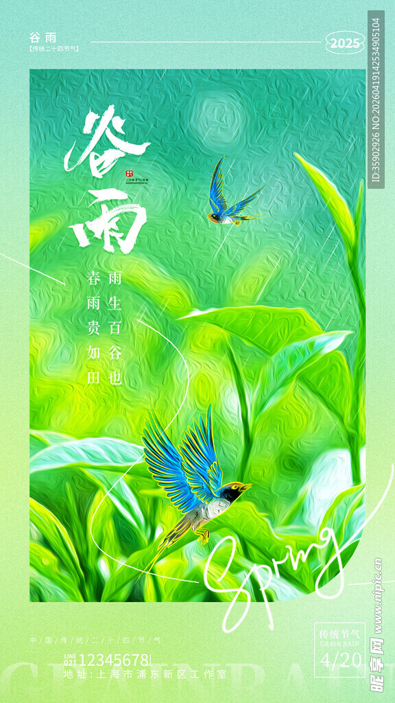 谷雨时节灵动蝴蝶伴新绿