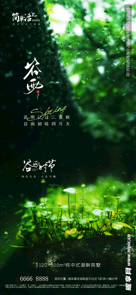 绿意盎然的自然植物景观