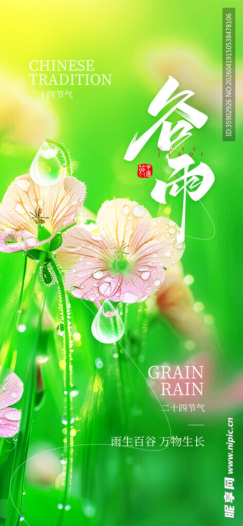 春日花卉绽放美景