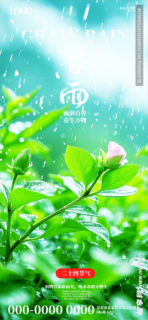 清新绿叶间的娇艳花朵