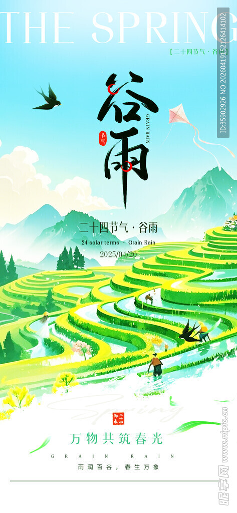 谷雨时节的梯田田园景象