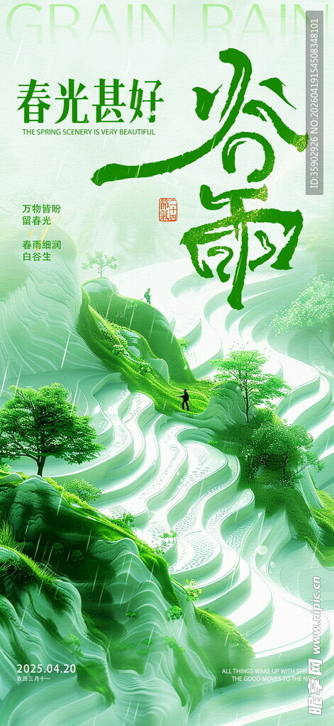 春日梯田春雨景
