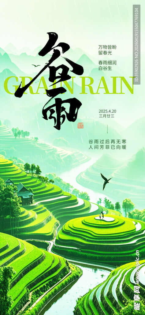 谷雨时节的翠绿梯田美景