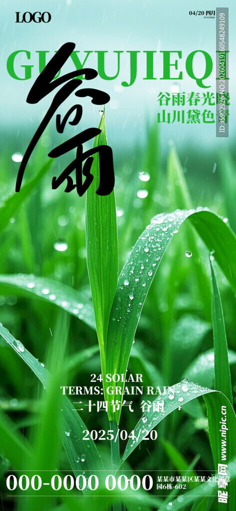 清新绿叶上的晶莹晨露