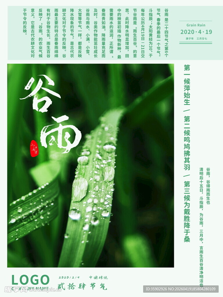 谷雨时节清新绿叶带露珠