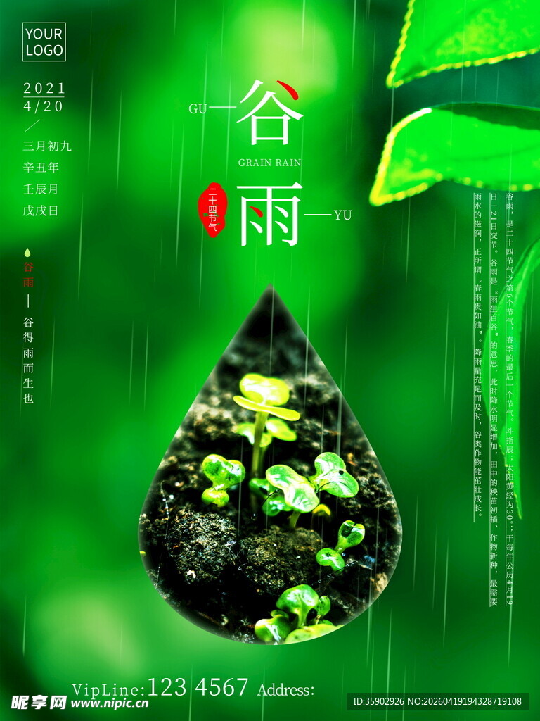 谷雨时节水滴中的绿意