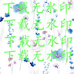 无水印图片下载提示