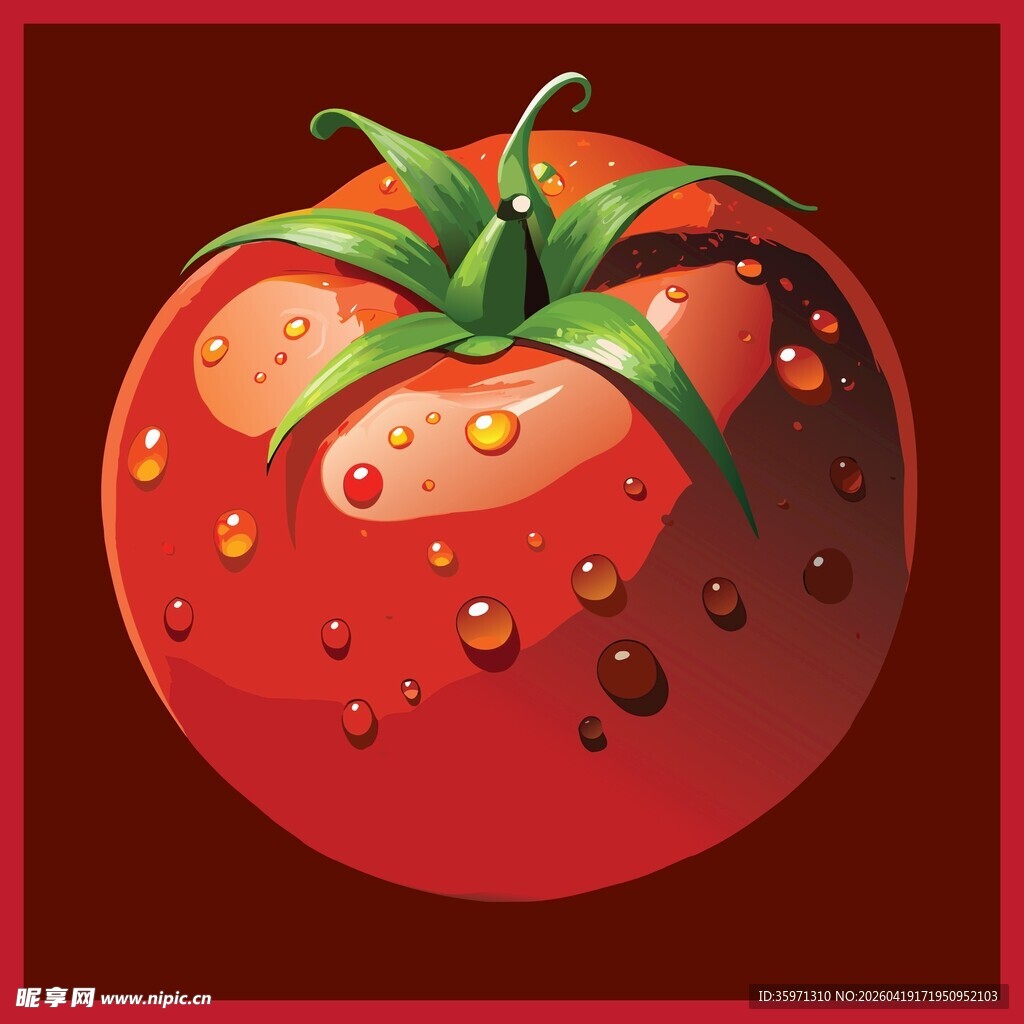 番茄插画素材