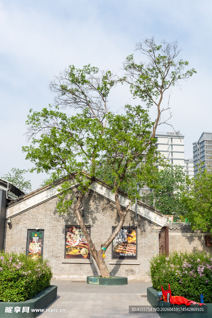 中式风格庭院景观一角