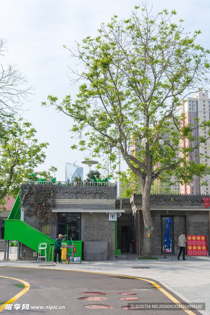 城市道路旁的绿植与建筑