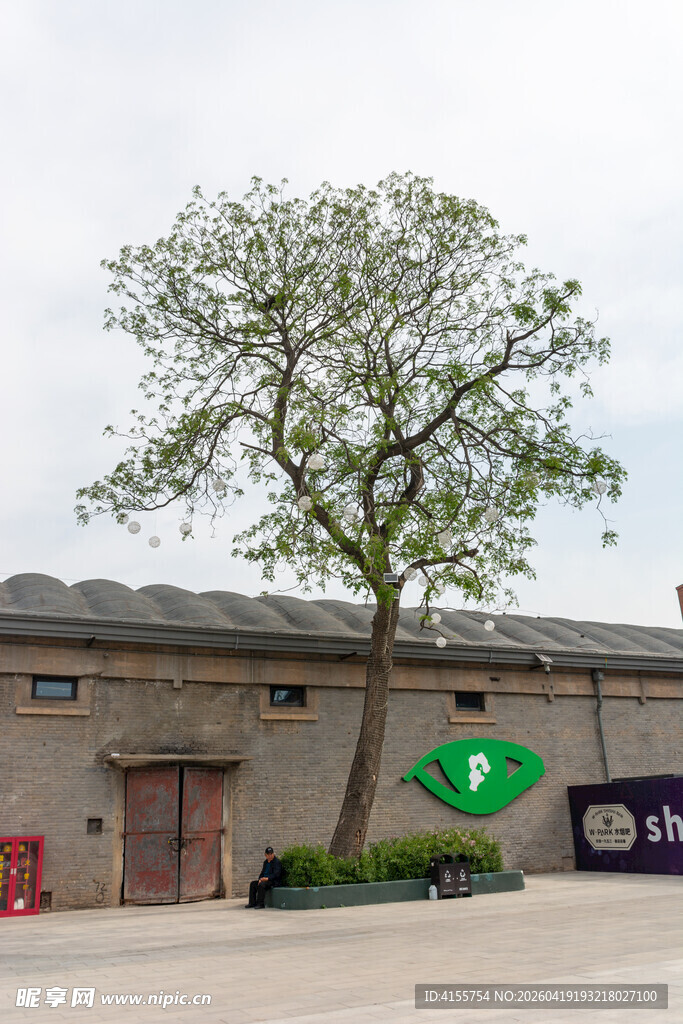 砖墙旁的绿树与标识