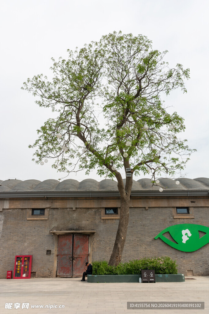 古老建筑旁的茂盛绿树