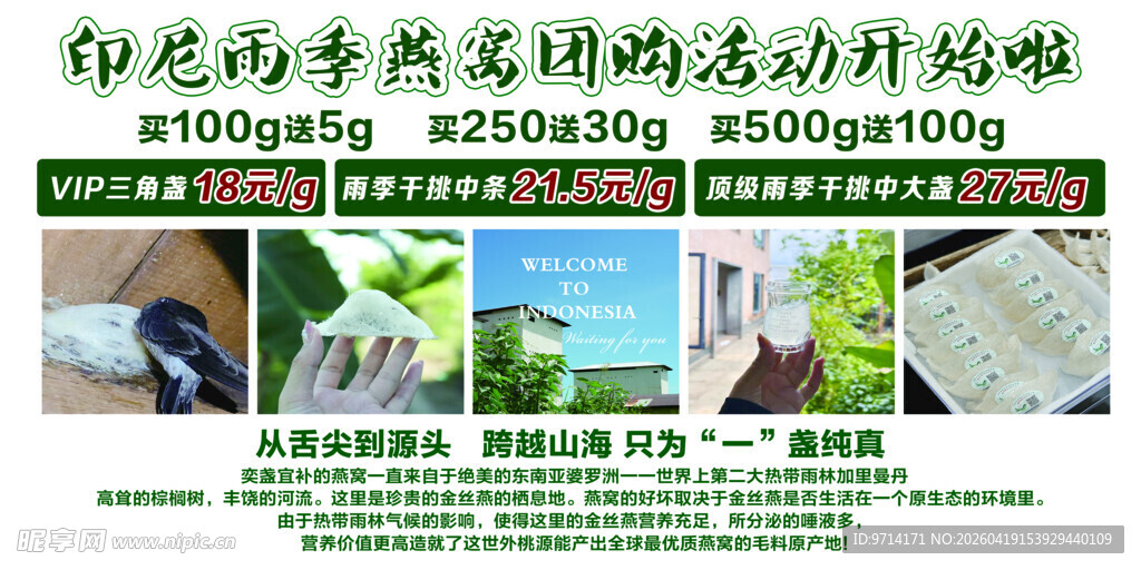 燕窝  养生