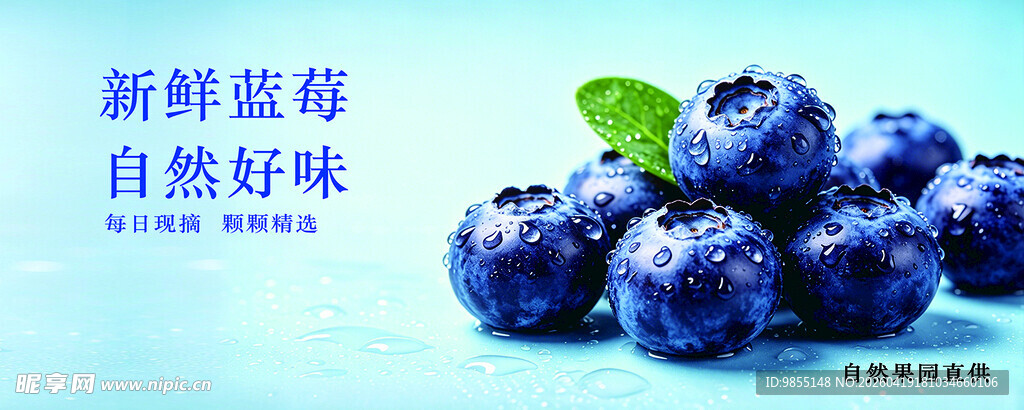 蓝莓  水果  