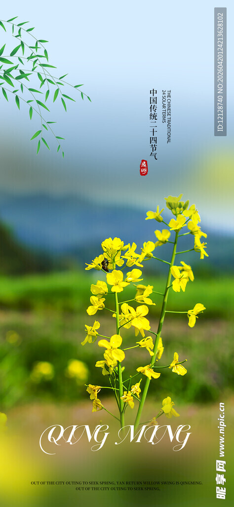 春日油菜花田美景