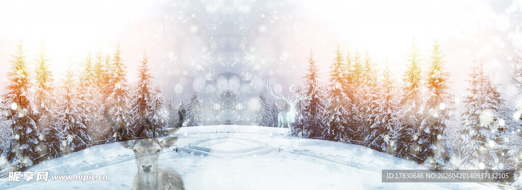 冬日雪景中的宁静森林