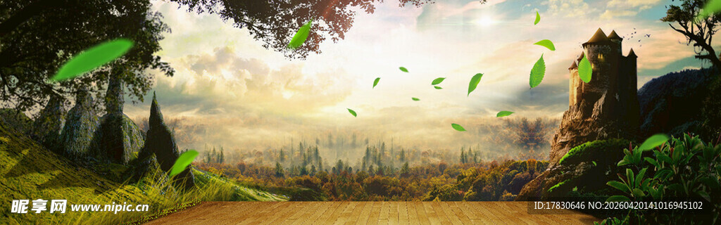 奇幻森林中的神秘光影世界