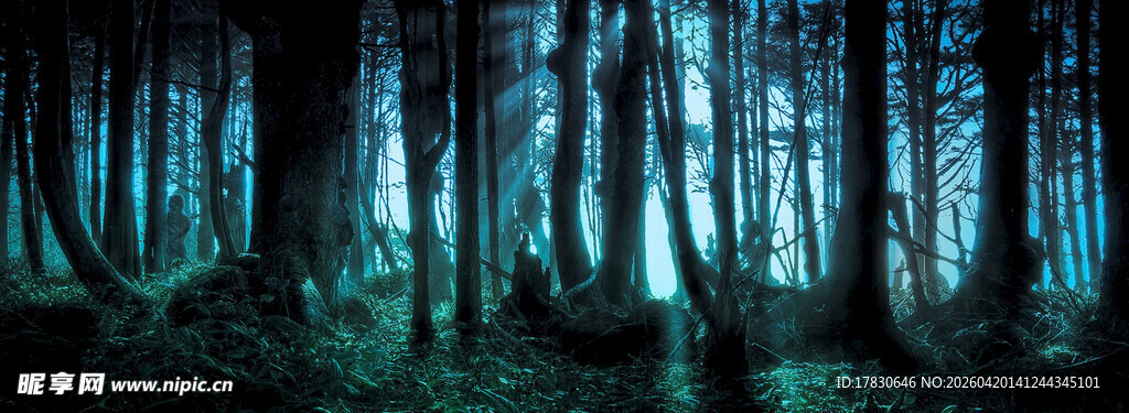 神秘幽蓝森林夜景
