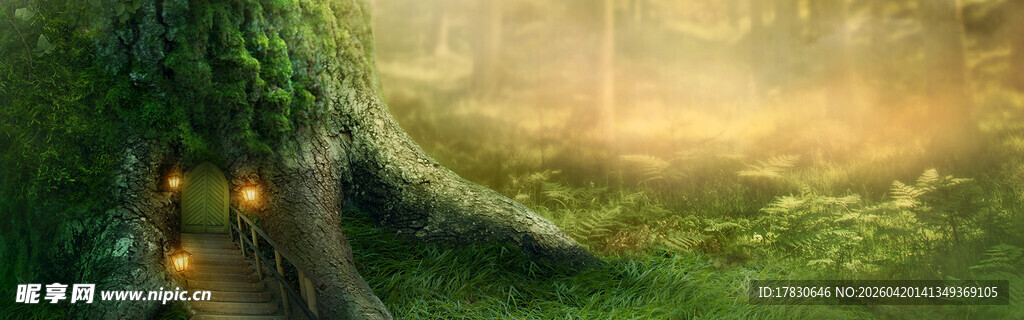 梦幻森林中的微光景象