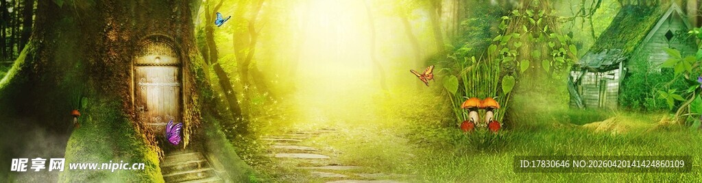 梦幻森林中的神秘光影入口