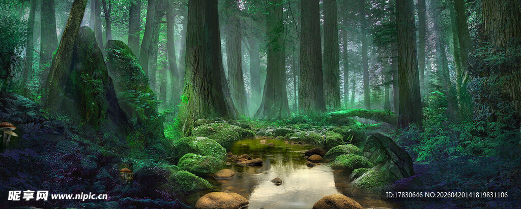 神秘森林中的蜿蜒小径