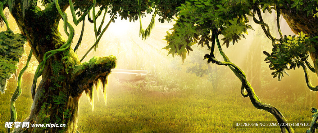 森林中的奇幻老树景观