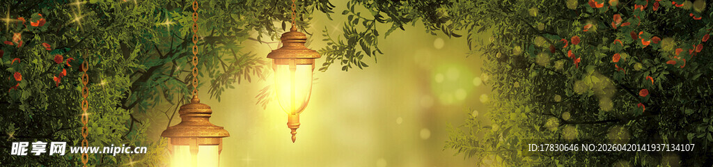 林间光影绿意盎然的小径