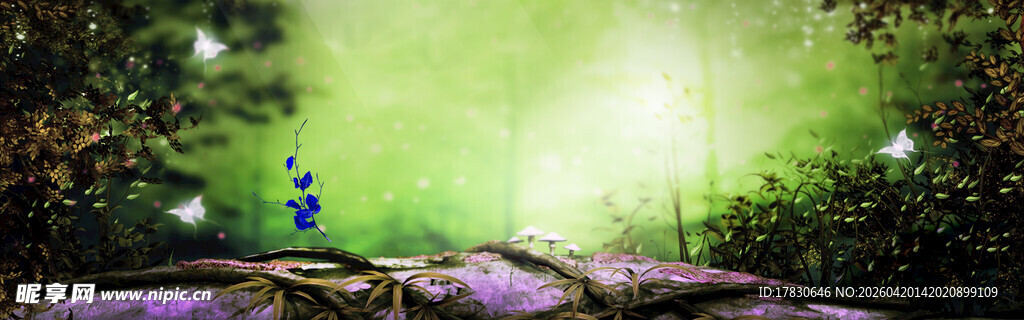 奇幻森林中的神秘绿光