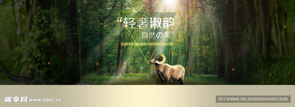 森林中的梦幻鹿群