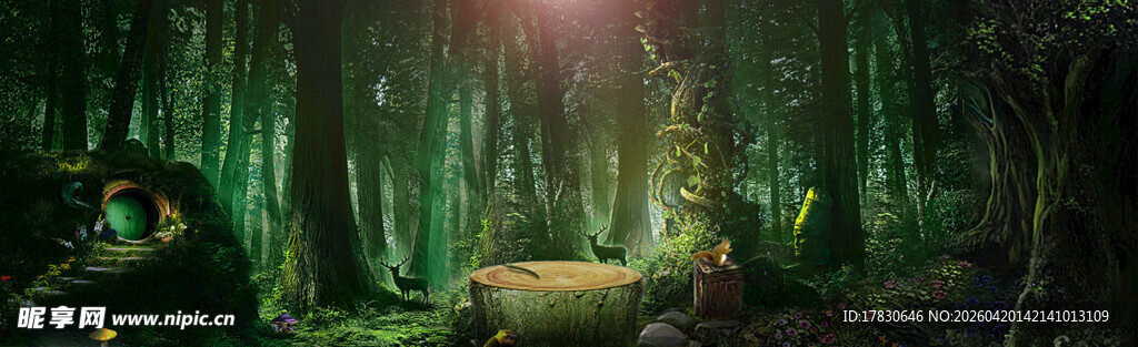 梦幻森林中的神秘光影