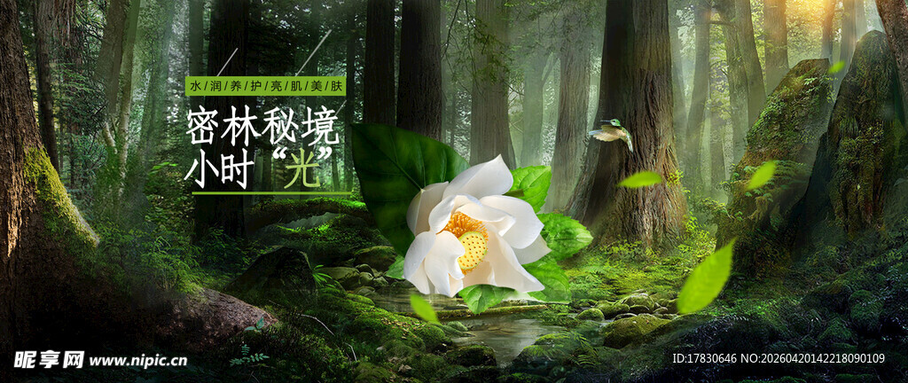 森林中的白色花朵