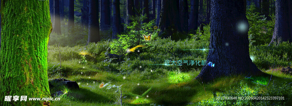 梦幻森林中的绿色光影世界