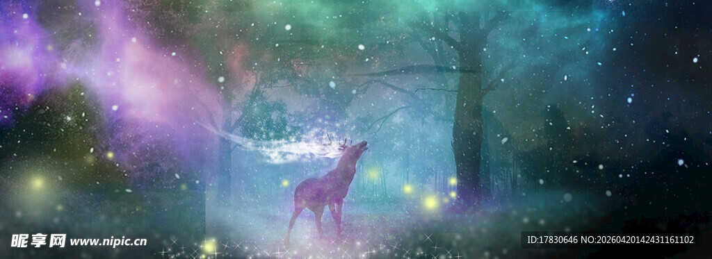 梦幻森林中的奇幻光影世界