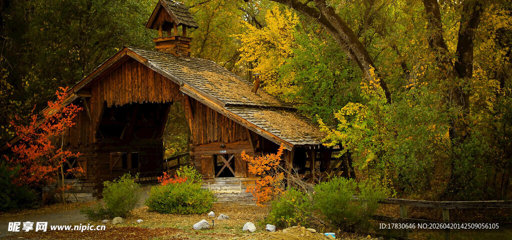 秋日林间的古朴木屋