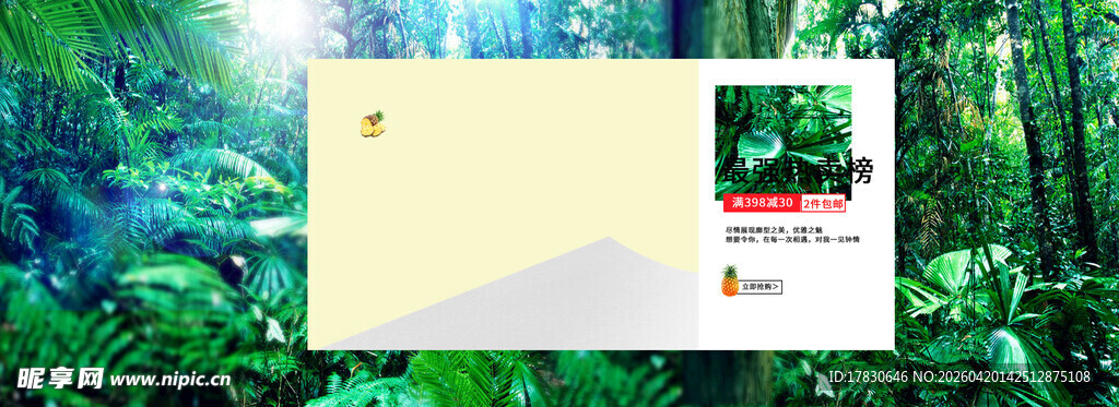 森林中的空白展示区域