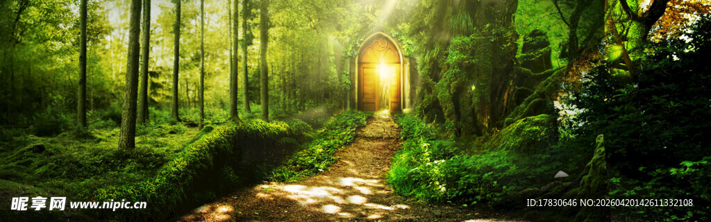 阳光洒落的神秘森林小径