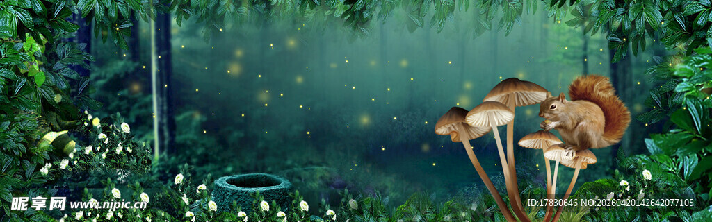 森林中的蘑菇与松鼠