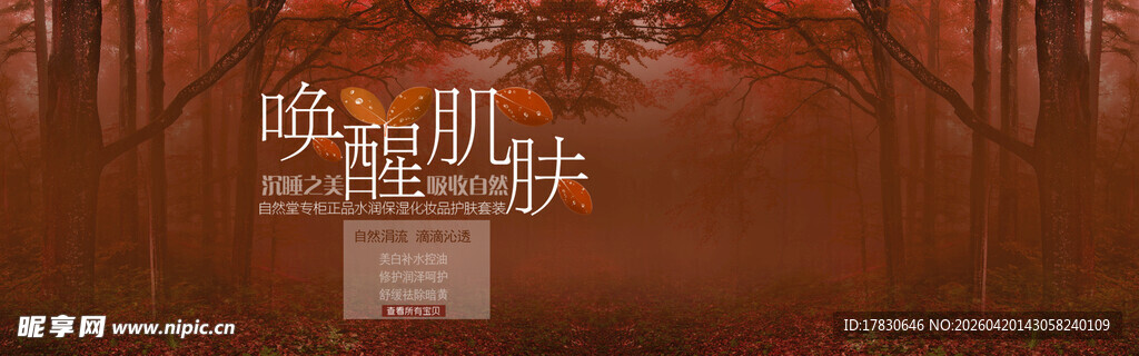 森林中的奇幻字母场景