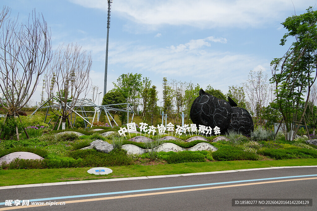 城市道路旁的绿植景观