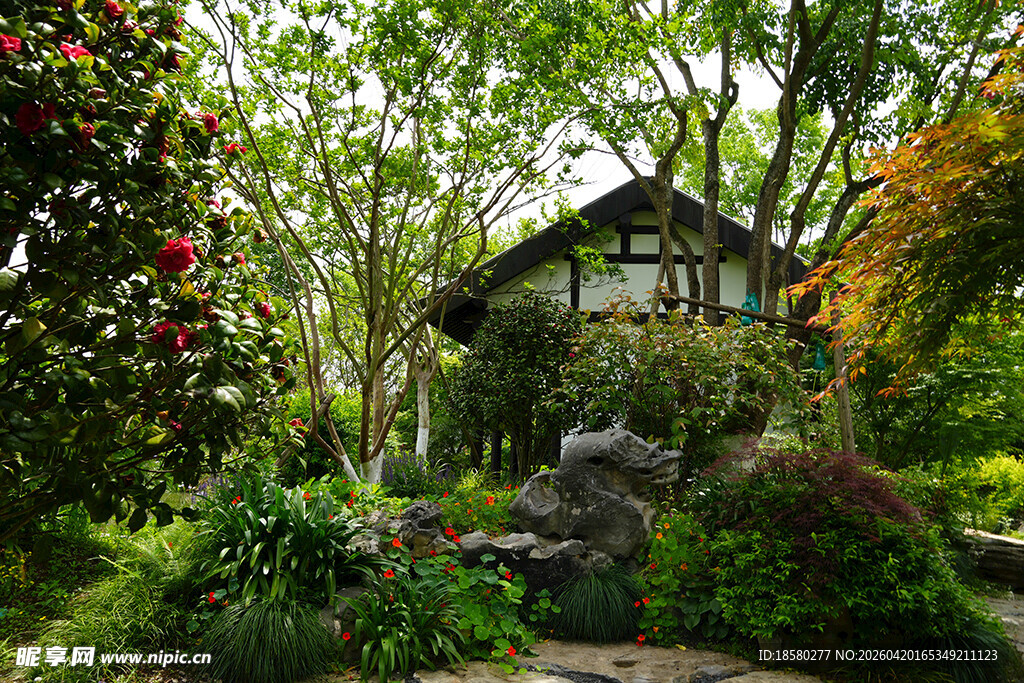 静谧林间小屋 自然之景