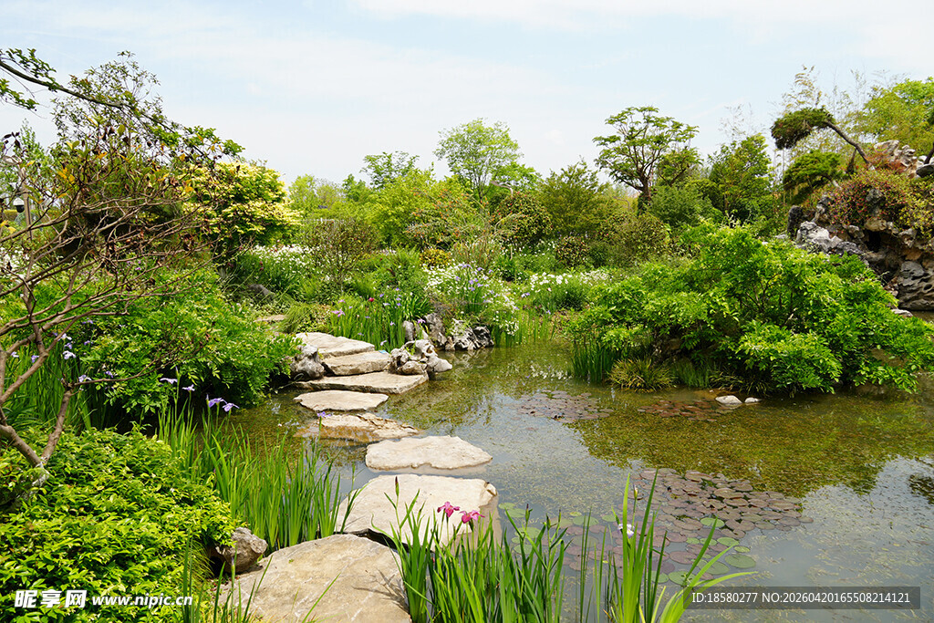 中式园林景观池塘美景