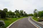 蜿蜒多彩乡村景观道路