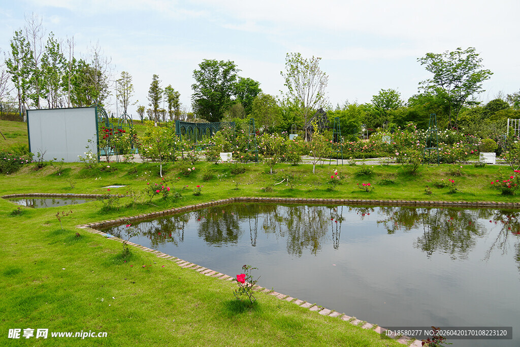 田园风静谧池塘景观