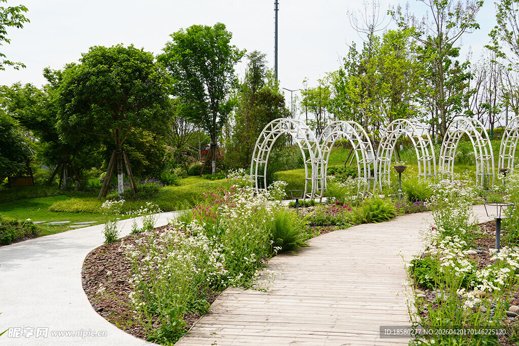 花园中的蜿蜒小径与绿植