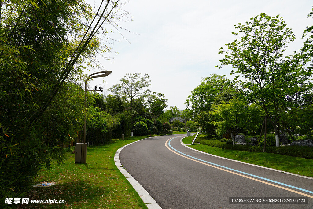 林间蜿蜒公路